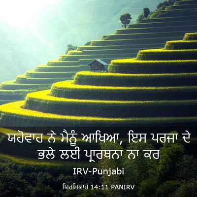 Picture 03 - ਯਿਰਮਿਯਾਹ 14:11 PANIRV - ਯਹੋਵਾਹ ਨੇ ਮੈਨੂੰ - Bible Verse Picture