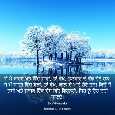 Picture 03 - ਯਿਰਮਿਯਾਹ 14:18 PANIRV - ਜੇ ਮੈਂ ਬਾਹਰ ਖੇਤ - Bible Verse Picture