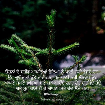 Picture 03 - ਯਿਰਮਿਯਾਹ 14:3 PANIRV - ਉਹਨਾਂ ਦੇ ਸ਼ਰੀਫ - Bible Verse Picture