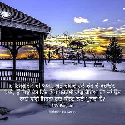 Picture 03 - ਯਿਰਮਿਯਾਹ 14:8 PANIRV - ਹੇ ਇਸਰਾਏਲ ਦੀ ਆਸਾ, - Bible Verse Picture