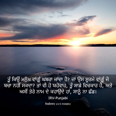 Picture 03 - ਯਿਰਮਿਯਾਹ 14:9 PANIRV - ਤੂੰ ਕਿਉਂ ਮਨੁੱਖ - Bible Verse Picture