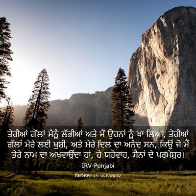 Picture 03 - ਯਿਰਮਿਯਾਹ 15:16 PANIRV - ਤੇਰੀਆਂ ਗੱਲਾਂ - Bible Verse Picture