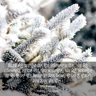 Picture 03 - ਯਿਰਮਿਯਾਹ 17:18 PANIRV - ਜਿਹੜੇ ਮੈਨੂੰ - Bible Verse Picture