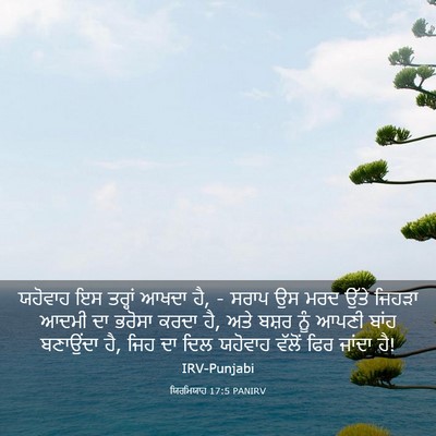 Picture 03 - ਯਿਰਮਿਯਾਹ 17:5 PANIRV - ਯਹੋਵਾਹ ਇਸ ਤਰ੍ਹਾਂ - Bible Verse Picture