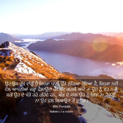 Picture 03 - ਯਿਰਮਿਯਾਹ 17:8 PANIRV - ਉਹ ਉਸ ਰੁੱਖ ਵਾਂਗੂੰ - Bible Verse Picture