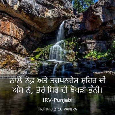Picture 03 - ਯਿਰਮਿਯਾਹ 2:16 PANIRV - ਨਾਲੇ ਨੋਫ਼ ਅਤੇ - Bible Verse Picture