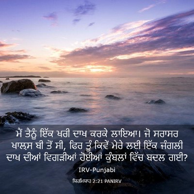 Picture 03 - ਯਿਰਮਿਯਾਹ 2:21 PANIRV - ਮੈਂ ਤੈਨੂੰ ਇੱਕ ਖਰੀ - Bible Verse Picture