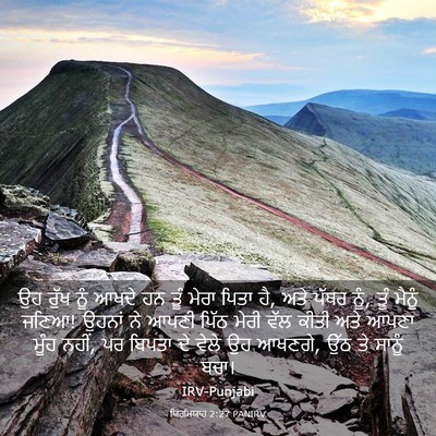 Picture 03 - ਯਿਰਮਿਯਾਹ 2:27 PANIRV - ਉਹ ਰੁੱਖ ਨੂੰ ਆਖਦੇ ਹਨ - Bible Verse Picture