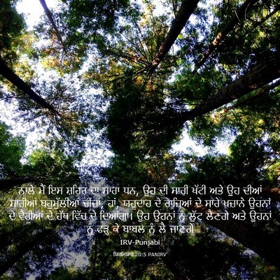 Picture 03 - ਯਿਰਮਿਯਾਹ 20:5 PANIRV - ਨਾਲੇ ਮੈਂ ਇਸ ਸ਼ਹਿਰ - Bible Verse Picture