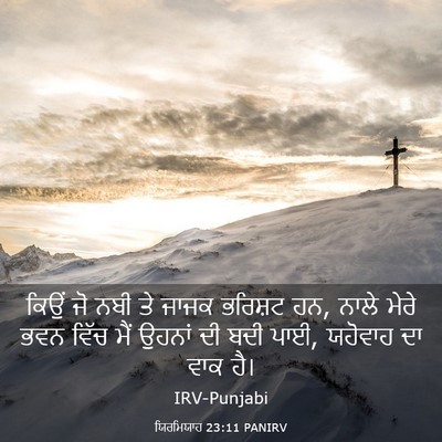 Picture 03 - ਯਿਰਮਿਯਾਹ 23:11 PANIRV - ਕਿਉਂ ਜੋ ਨਬੀ ਤੇ ਜਾਜਕ - Bible Verse Picture