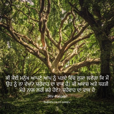 Picture 03 - ਯਿਰਮਿਯਾਹ 23:24 PANIRV - ਕੀ ਕੋਈ ਮਨੁੱਖ ਆਪਣੇ - Bible Verse Picture