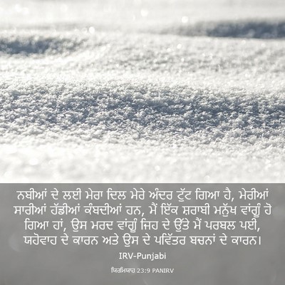 Picture 03 - ਯਿਰਮਿਯਾਹ 23:9 PANIRV - ਨਬੀਆਂ ਦੇ ਲਈ ਮੇਰਾ - Bible Verse Picture