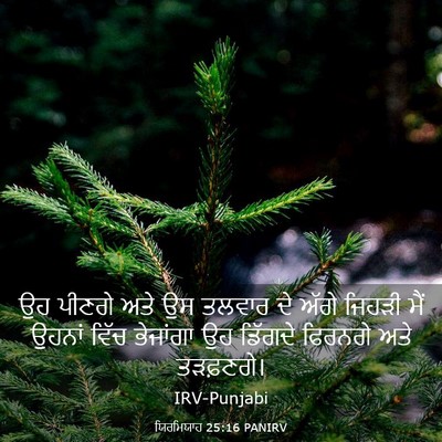 Picture 03 - ਯਿਰਮਿਯਾਹ 25:16 PANIRV - ਉਹ ਪੀਣਗੇ ਅਤੇ ਉਸ - Bible Verse Picture