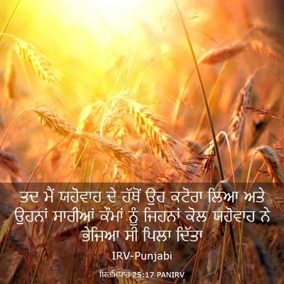 Picture 03 - ਯਿਰਮਿਯਾਹ 25:17 PANIRV - ਤਦ ਮੈਂ ਯਹੋਵਾਹ ਦੇ - Bible Verse Picture