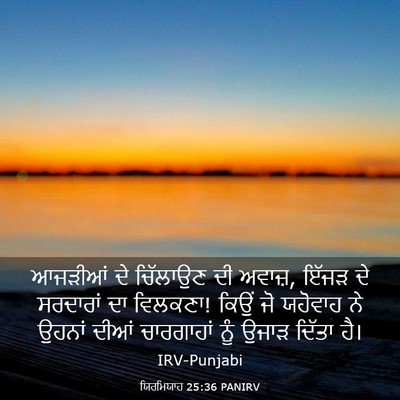 Picture 03 - ਯਿਰਮਿਯਾਹ 25:36 PANIRV - ਆਜੜੀਆਂ ਦੇ ਚਿੱਲਾਉਣ - Bible Verse Picture