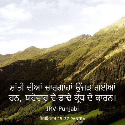 Picture 03 - ਯਿਰਮਿਯਾਹ 25:37 PANIRV - ਸ਼ਾਂਤੀ ਦੀਆਂ - Bible Verse Picture
