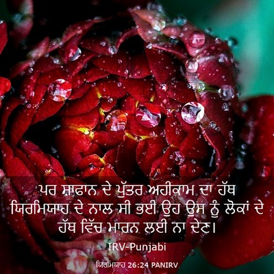 Picture 03 - ਯਿਰਮਿਯਾਹ 26:24 PANIRV - ਪਰ ਸ਼ਾਫਾਨ ਦੇ ਪੁੱਤਰ - Bible Verse Picture