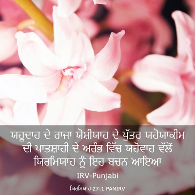Picture 03 - ਯਿਰਮਿਯਾਹ 27:1 PANIRV - ਯਹੂਦਾਹ ਦੇ ਰਾਜਾ - Bible Verse Picture