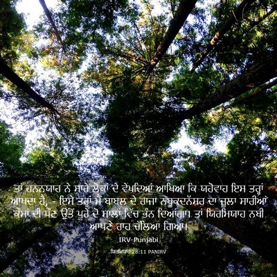 Picture 03 - ਯਿਰਮਿਯਾਹ 28:11 PANIRV - ਤਾਂ ਹਨਨਯਾਹ ਨੇ ਸਾਰੇ - Bible Verse Picture
