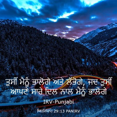 Picture 03 - ਯਿਰਮਿਯਾਹ 29:13 PANIRV - ਤੁਸੀਂ ਮੈਨੂੰ - Bible Verse Picture