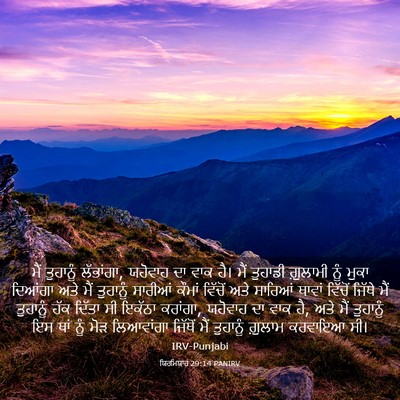 Picture 03 - ਯਿਰਮਿਯਾਹ 29:14 PANIRV - ਮੈਂ ਤੁਹਾਨੂੰ - Bible Verse Picture