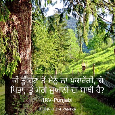 Picture 03 - ਯਿਰਮਿਯਾਹ 3:4 PANIRV - ਕੀ ਤੂੰ ਹੁਣ ਤੋਂ - Bible Verse Picture