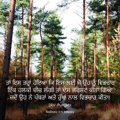 Picture 03 - ਯਿਰਮਿਯਾਹ 3:9 PANIRV - ਤਾਂ ਇਸ ਤਰ੍ਹਾਂ ਹੋਇਆ - Bible Verse Picture