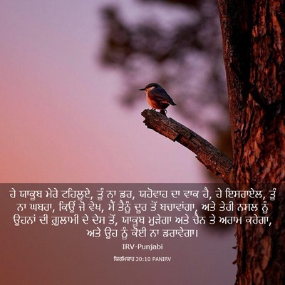 Picture 03 - ਯਿਰਮਿਯਾਹ 30:10 PANIRV - ਹੇ ਯਾਕੂਬ ਮੇਰੇ - Bible Verse Picture