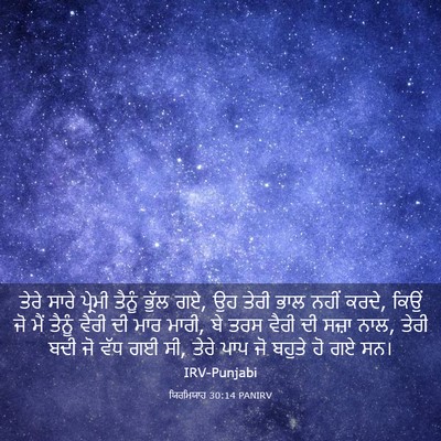 Picture 03 - ਯਿਰਮਿਯਾਹ 30:14 PANIRV - ਤੇਰੇ ਸਾਰੇ ਪ੍ਰੇਮੀ - Bible Verse Picture