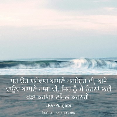 Picture 03 - ਯਿਰਮਿਯਾਹ 30:9 PANIRV - ਪਰ ਉਹ ਯਹੋਵਾਹ ਆਪਣੇ - Bible Verse Picture