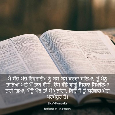 Picture 03 - ਯਿਰਮਿਯਾਹ 31:18 PANIRV - ਮੈਂ ਸੱਚ-ਮੁੱਚ - Bible Verse Picture