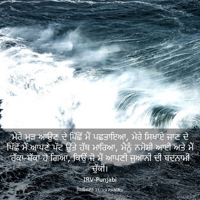 Picture 03 - ਯਿਰਮਿਯਾਹ 31:19 PANIRV - ਮੇਰੇ ਮੁੜ ਆਉਣ ਦੇ - Bible Verse Picture