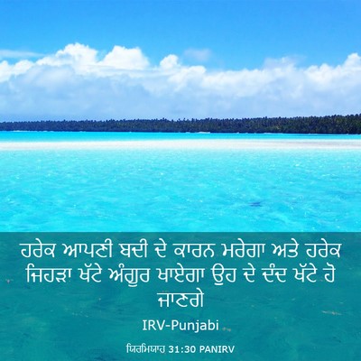 Picture 03 - ਯਿਰਮਿਯਾਹ 31:30 PANIRV - ਹਰੇਕ ਆਪਣੀ ਬਦੀ ਦੇ - Bible Verse Picture