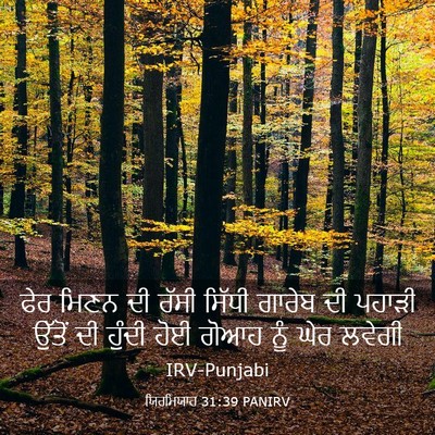 Picture 03 - ਯਿਰਮਿਯਾਹ 31:39 PANIRV - ਫੇਰ ਮਿਣਨ ਦੀ ਰੱਸੀ - Bible Verse Picture