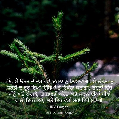 Picture 03 - ਯਿਰਮਿਯਾਹ 31:8 PANIRV - ਵੇਖੋ, ਮੈਂ ਉੱਤਰ ਦੇ - Bible Verse Picture