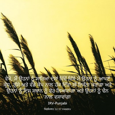 Picture 03 - ਯਿਰਮਿਯਾਹ 32:37 PANIRV - ਵੇਖੋ, ਮੈਂ ਉਹਨਾਂ ਨੂੰ - Bible Verse Picture