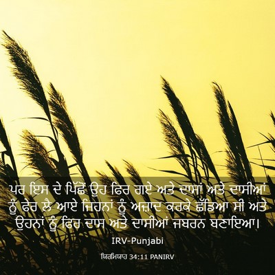 Picture 03 - ਯਿਰਮਿਯਾਹ 34:11 PANIRV - ਪਰ ਇਸ ਦੇ ਪਿੱਛੋਂ ਉਹ - Bible Verse Picture