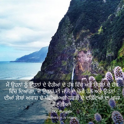 Picture 03 - ਯਿਰਮਿਯਾਹ 34:20 PANIRV - ਮੈਂ ਉਹਨਾਂ ਨੂੰ - Bible Verse Picture