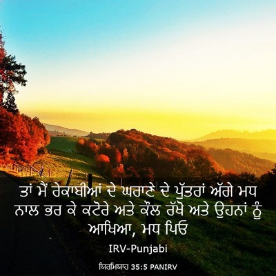 Picture 03 - ਯਿਰਮਿਯਾਹ 35:5 PANIRV - ਤਾਂ ਮੈਂ ਰੇਕਾਬੀਆਂ - Bible Verse Picture