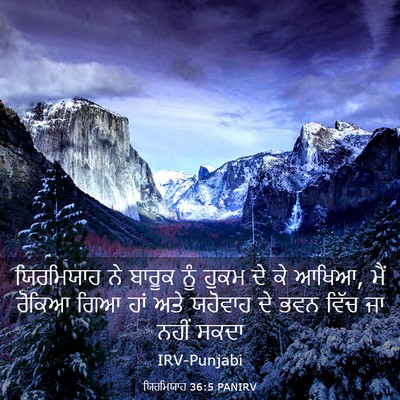 Picture 03 - ਯਿਰਮਿਯਾਹ 36:5 PANIRV - ਯਿਰਮਿਯਾਹ ਨੇ ਬਾਰੂਕ - Bible Verse Picture