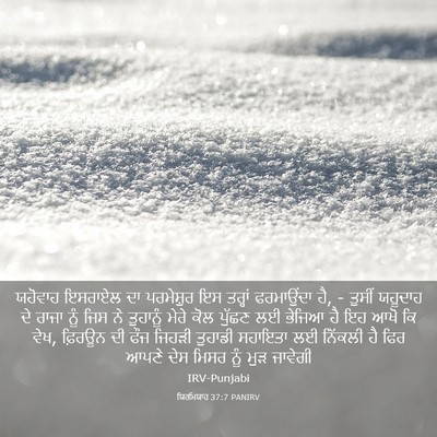 Picture 03 - ਯਿਰਮਿਯਾਹ 37:7 PANIRV - ਯਹੋਵਾਹ ਇਸਰਾਏਲ ਦਾ - Bible Verse Picture