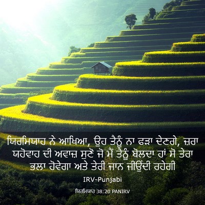 Picture 03 - ਯਿਰਮਿਯਾਹ 38:20 PANIRV - ਯਿਰਮਿਯਾਹ ਨੇ ਆਖਿਆ, - Bible Verse Picture