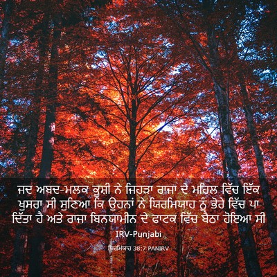 Picture 03 - ਯਿਰਮਿਯਾਹ 38:7 PANIRV - ਜਦ ਅਬਦ-ਮਲਕ ਕੂਸ਼ੀ ਨੇ - Bible Verse Picture