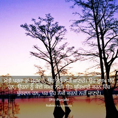 Picture 03 - ਯਿਰਮਿਯਾਹ 4:22 PANIRV - ਮੇਰੀ ਪਰਜਾ ਤਾਂ ਮੂਰਖ - Bible Verse Picture