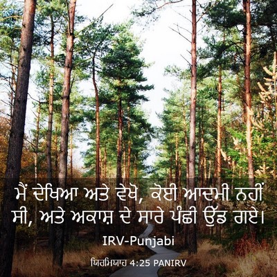 Picture 03 - ਯਿਰਮਿਯਾਹ 4:25 PANIRV - ਮੈਂ ਦੇਖਿਆ ਅਤੇ ਵੇਖੋ, - Bible Verse Picture
