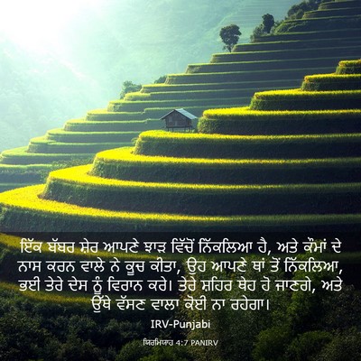 Picture 03 - ਯਿਰਮਿਯਾਹ 4:7 PANIRV - ਇੱਕ ਬੱਬਰ ਸ਼ੇਰ ਆਪਣੇ - Bible Verse Picture