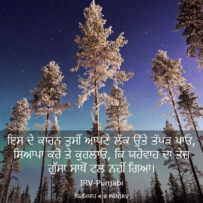 Picture 03 - ਯਿਰਮਿਯਾਹ 4:8 PANIRV - ਇਸ ਦੇ ਕਾਰਨ ਤੁਸੀਂ - Bible Verse Picture
