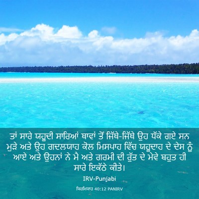 Picture 03 - ਯਿਰਮਿਯਾਹ 40:12 PANIRV - ਤਾਂ ਸਾਰੇ ਯਹੂਦੀ - Bible Verse Picture
