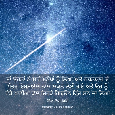 Picture 03 - ਯਿਰਮਿਯਾਹ 41:12 PANIRV - ਤਾਂ ਉਹਨਾਂ ਨੇ ਸਾਰੇ - Bible Verse Picture