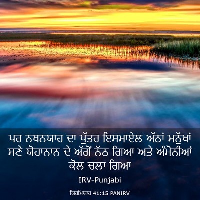Picture 03 - ਯਿਰਮਿਯਾਹ 41:15 PANIRV - ਪਰ ਨਥਨਯਾਹ ਦਾ ਪੁੱਤਰ - Bible Verse Picture